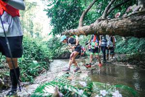 BIB: 
                            <button type="button" onclick="openModal(25452766)" class="btn btn-primary btn-sm float-right btn-popup" data-toggle="modal" data-target=".modal-high-quality">
                        <i class="fas fa-shopping-cart"></i> Add to Cart
                    </button>
                                            <button type="button" onclick="isThisMe(25452766, true)" class="btn btn-success btn-sm float-right btn-popup btn-isme hidden" data-toggle="tooltip" data-placement="bottom" title="นี่คือรูปของคุณใช่ไหม คลิกที่นี่เพื่อเอาเข้าอัลบั้ม">
                        <i class="fas fa-plus"></i> Add to album
                    </button>
                    <button type="button" onclick="isThisMe(25452766, false)" class="btn btn-warning btn-sm float-right btn-popup btn-isnotme hidden">
                        <i class="fas fa-ban"></i> Remove from album
                    </button>